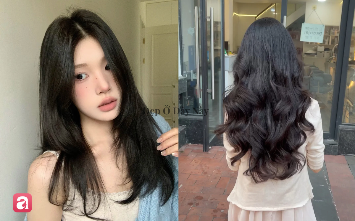 5 dầu gội "made in Vietnam" dành cho tóc bết: Làm sạch da đầu, giảm dầu, giữ tóc tơi phồng- Ảnh 1.