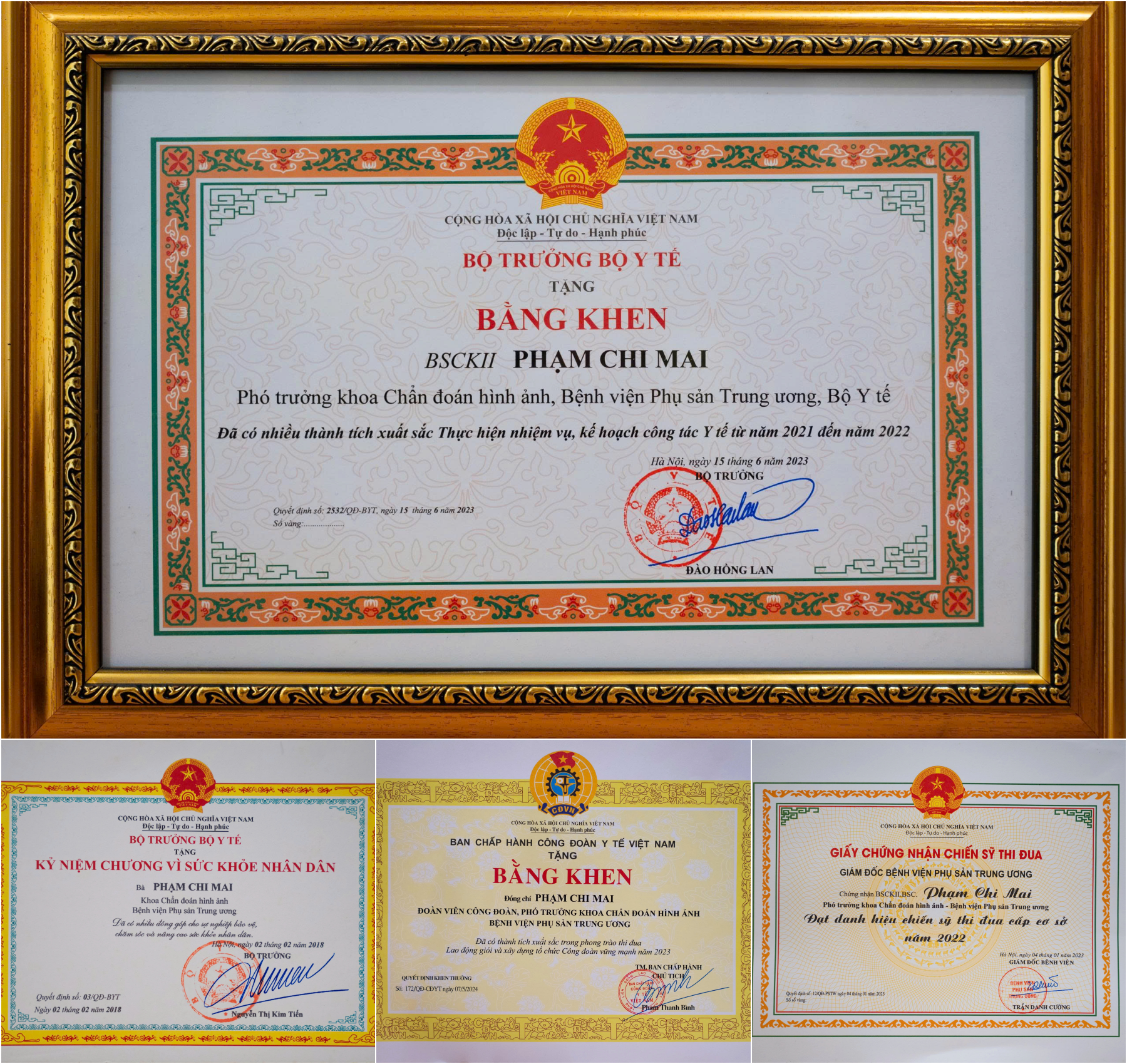 &rlm;BSCKII. Phạm Chi Mai: &ldquo;Mọi thai nhi đều b&igrave;nh đẳng về quyền lợi ngay từ trong b&agrave;o thai&rdquo; &rlm; - Ảnh 3.