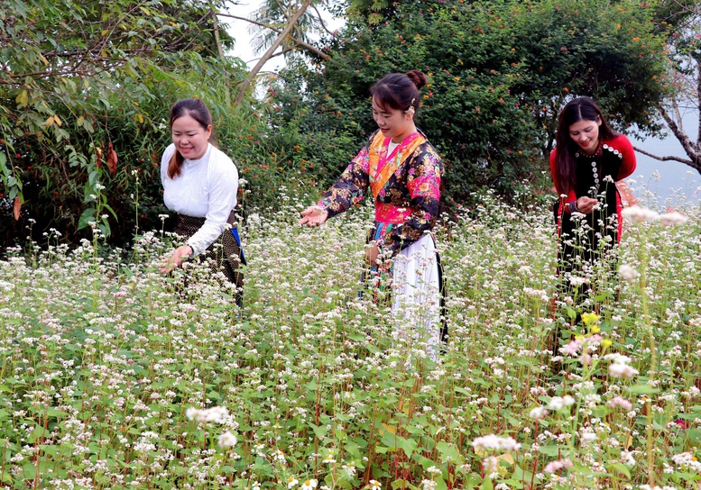 Khai mạc Lễ hội hoa Tam gi&aacute;c mạch lần thứ XII: Mang đến kh&ocirc;ng gian nghệ thuật đặc sắc- Ảnh 2.