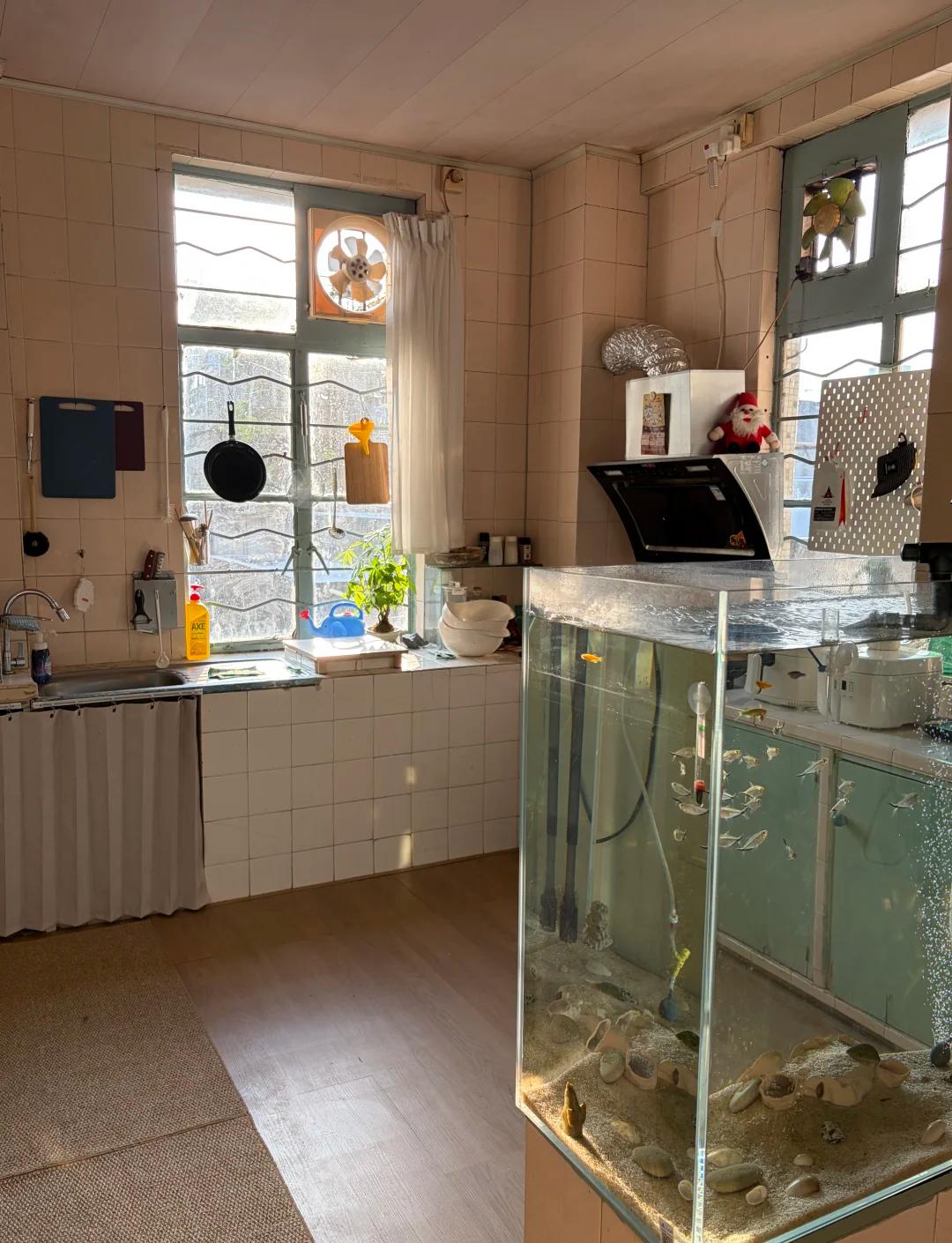 Bỏ căn hộ 50m&sup2; để chuyển v&agrave;o nh&agrave; tập thể cũ 160m&sup2;, ở một thời gian chủ nh&agrave; phải thốt l&ecirc;n: Như n&agrave;y mới l&agrave; đ&aacute;ng sống! - Ảnh 7.