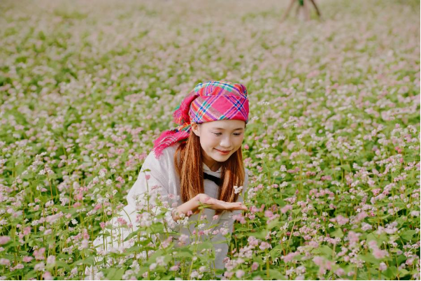 Mục sở thị tam giác mạch khoe sắc, hoa xác pháo tím điểm tô đỉnh Fansipan - Ảnh 2.