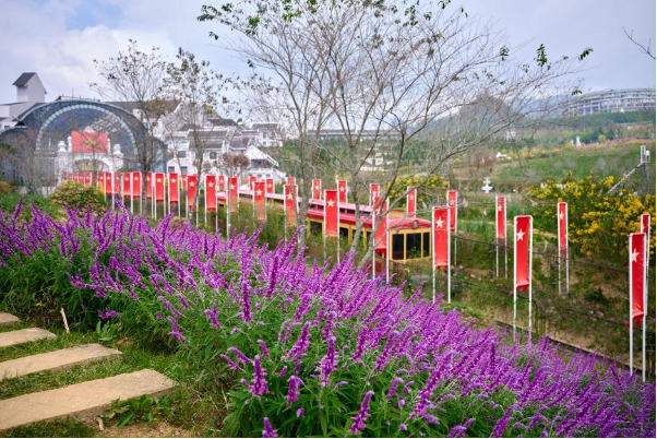 Mục sở thị tam giác mạch khoe sắc, hoa xác pháo tím điểm tô đỉnh Fansipan - Ảnh 5.