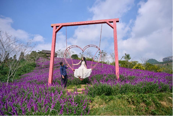 Mục sở thị tam giác mạch khoe sắc, hoa xác pháo tím điểm tô đỉnh Fansipan - Ảnh 6.