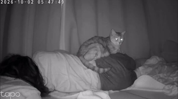 Suốt 13 năm cứ ngủ dậy là đau lưng, người đàn ông lắp camera thì phát hiện sự thật siêu bất ngờ- Ảnh 1.