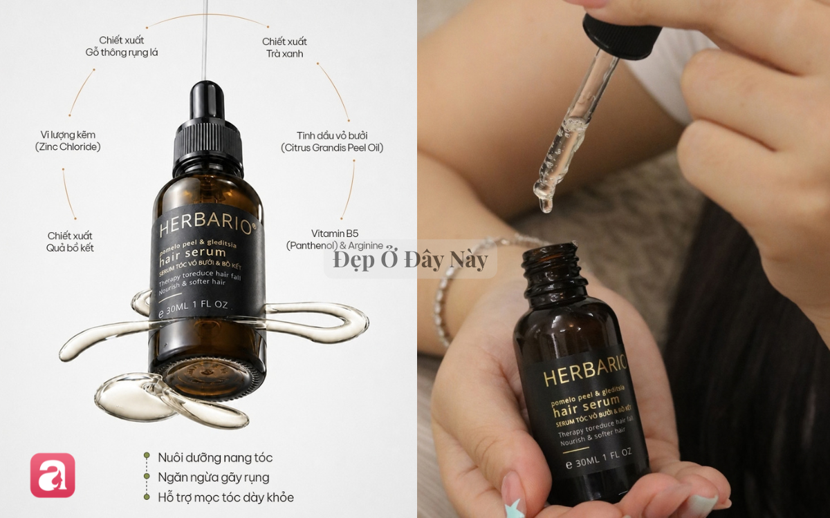 T&oacute;c mọc tua tủa, chắc khỏe hơn nhờ 5 serum dưỡng thảo mộc vừa tốt vừa thơm - Ảnh 4.