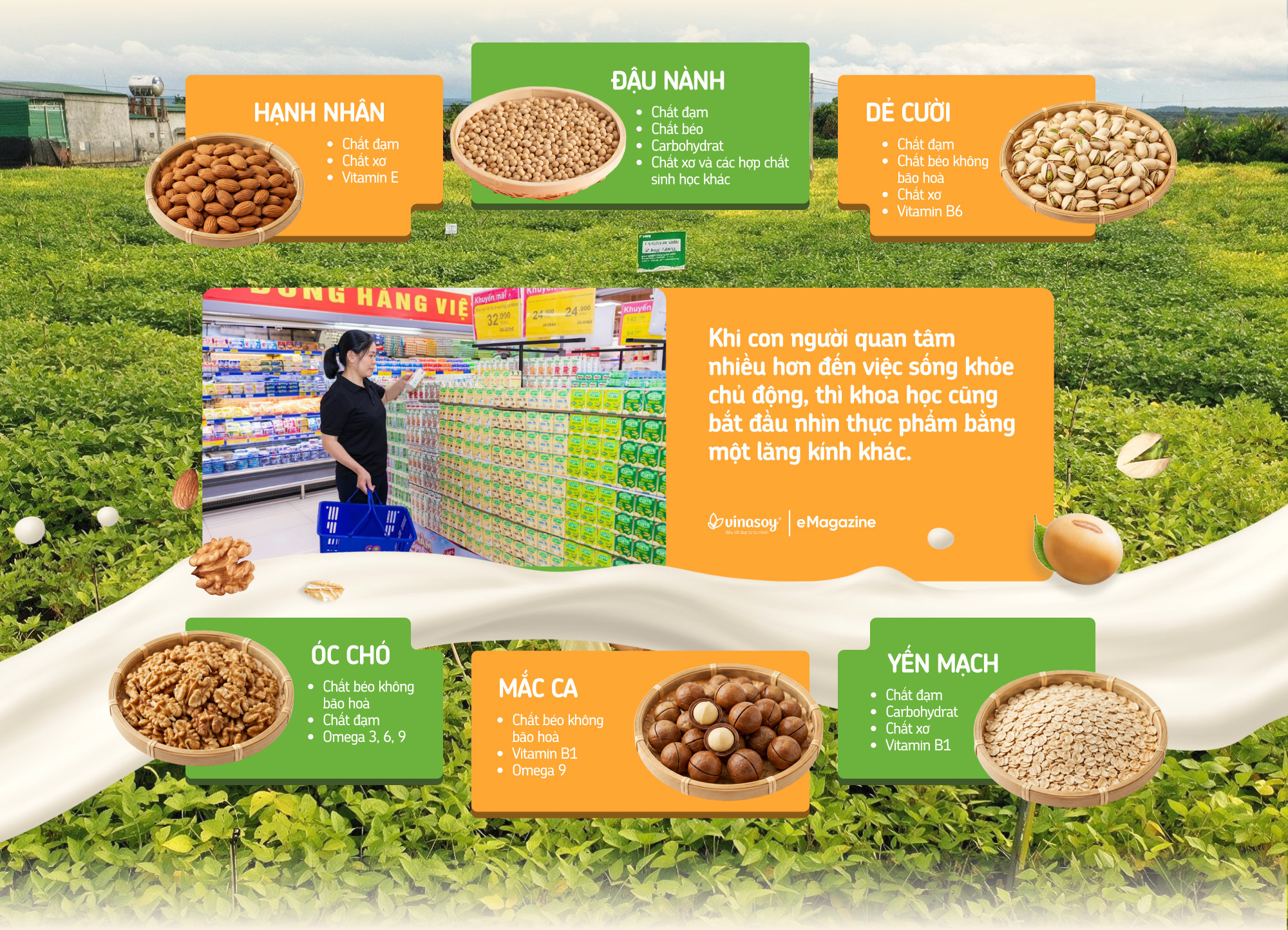 Vì sao “dưỡng chất lành” đang trở thành một cách tiếp cận mới trong dinh dưỡng hiện đại?- Ảnh 2.