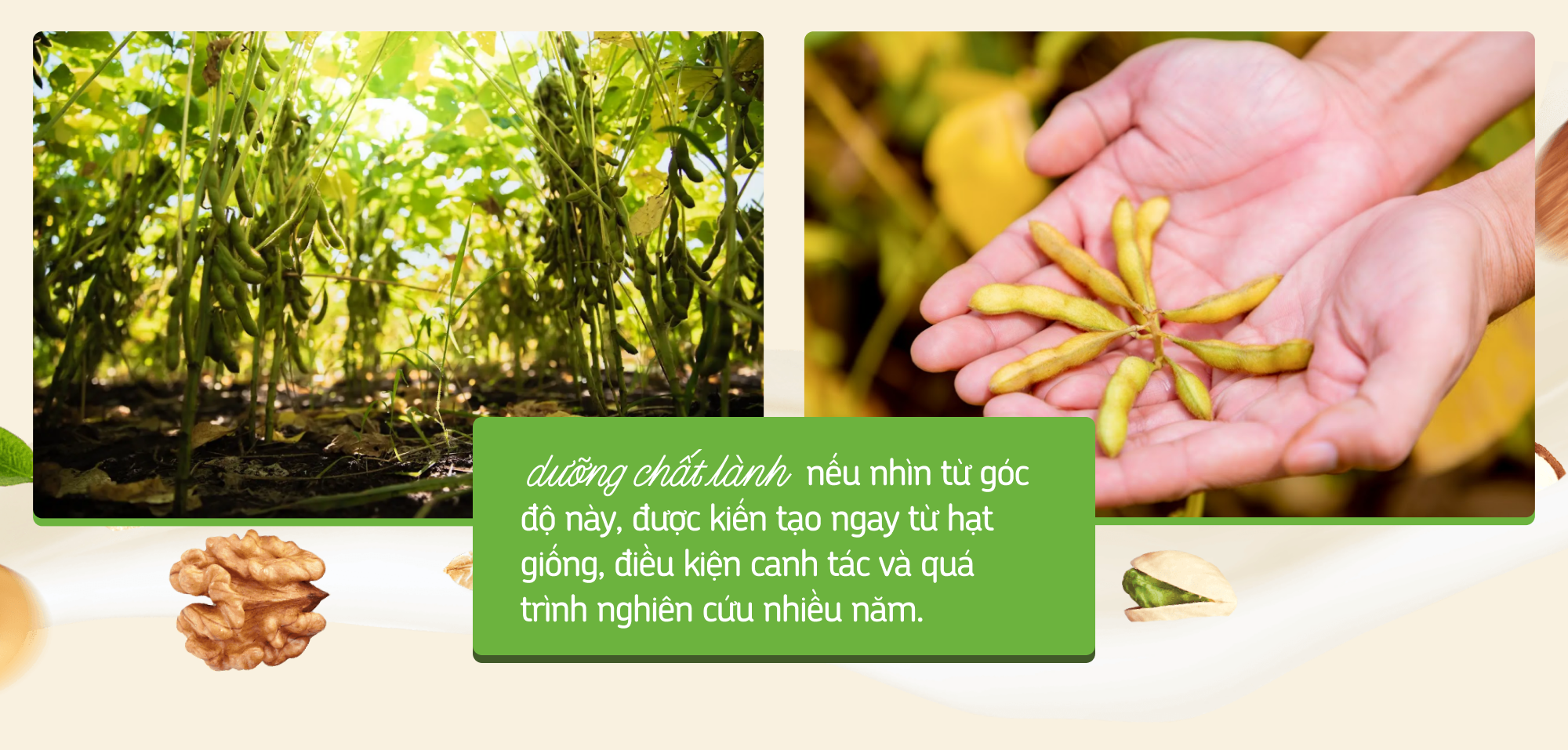 Vì sao “dưỡng chất lành” đang trở thành một cách tiếp cận mới trong dinh dưỡng hiện đại?- Ảnh 8.