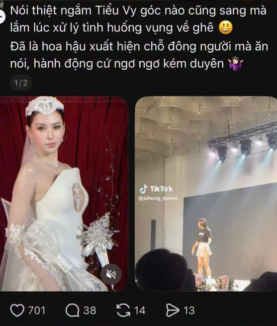 Nỗi l&ograve;ng của Hoa hậu Tiểu Vy- Ảnh 1.