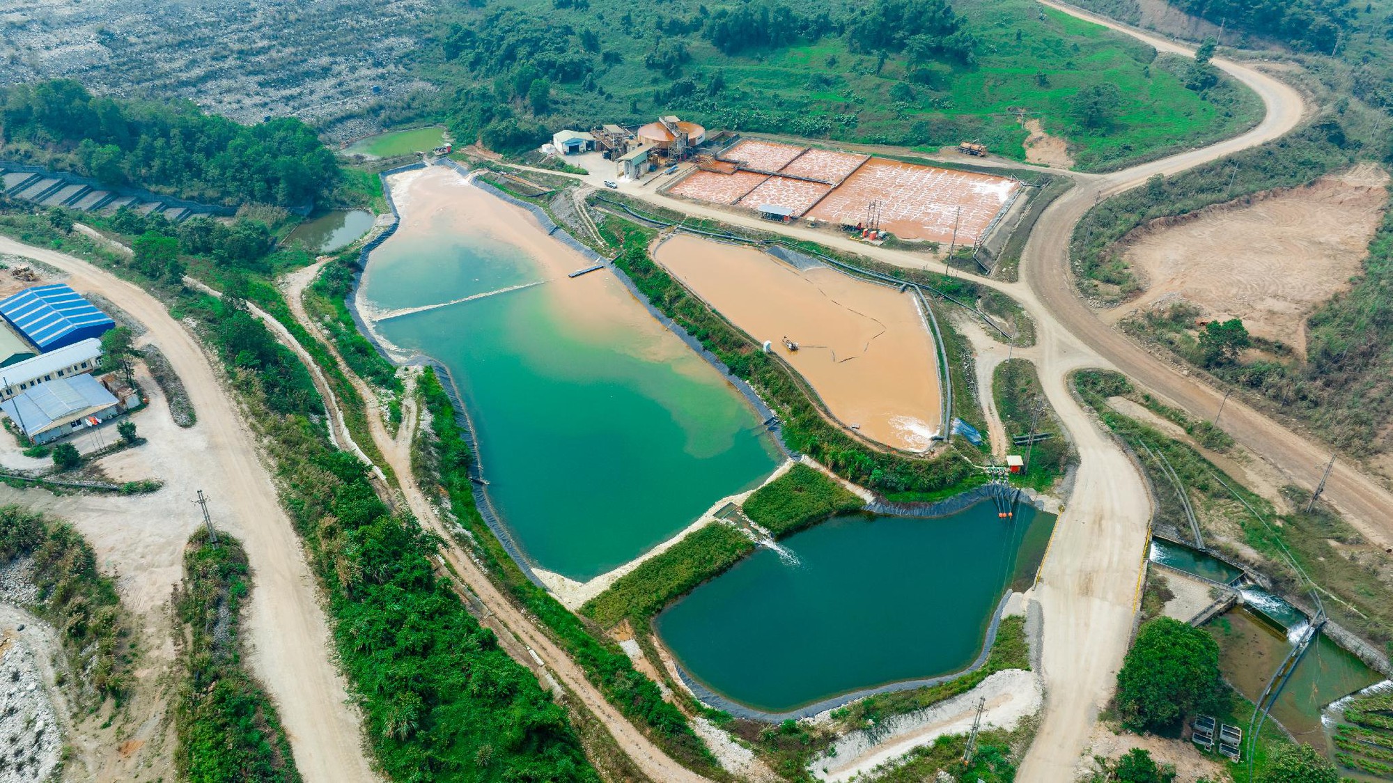 6.000 đồng/cổ phiếu năm 2026: MSR đặt nền móng cho chính sách cổ tức tiền mặt dài hạn - Ảnh 1.