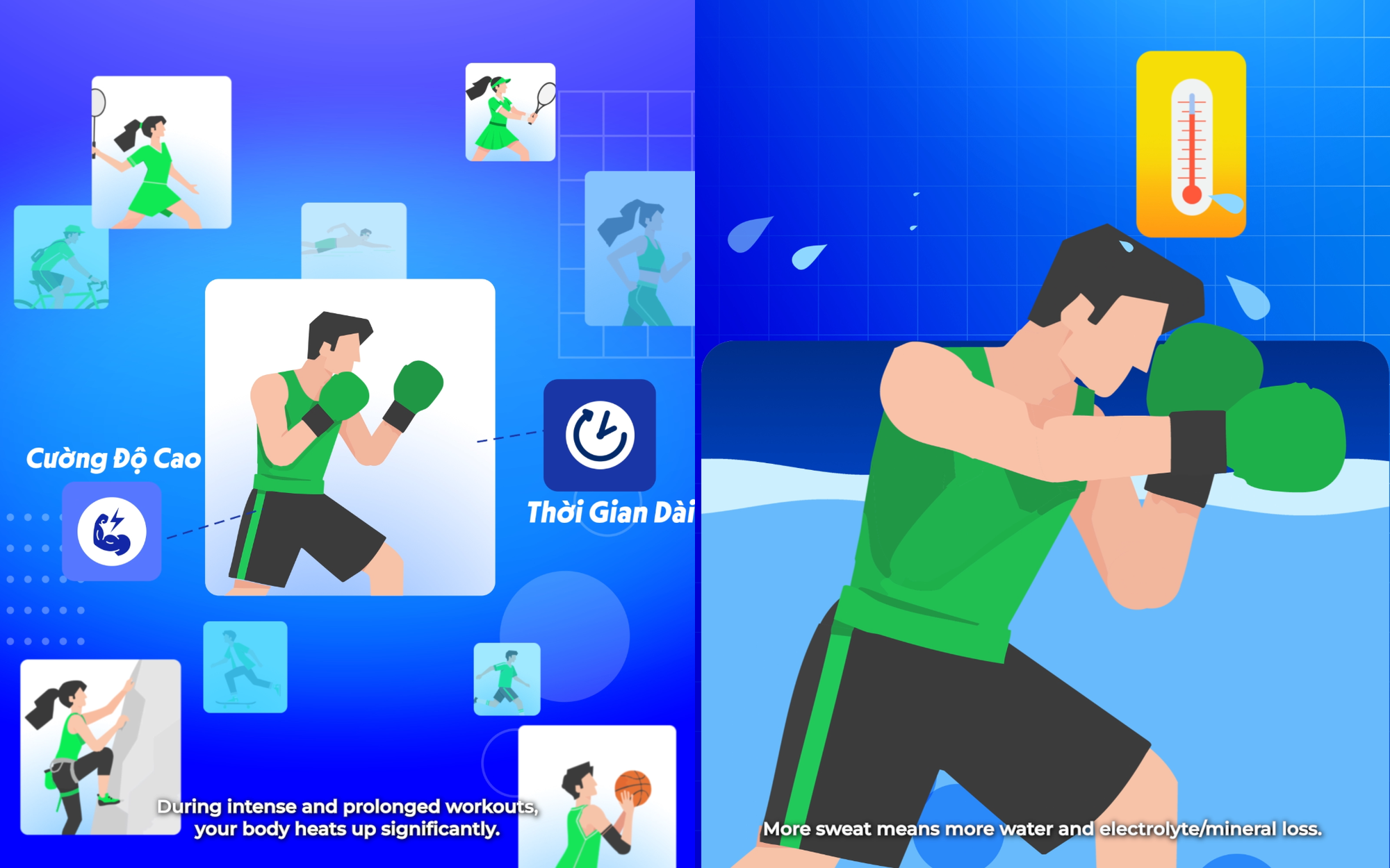 Revive Thể Thao: B&iacute; quyết n&acirc;ng cao sức bền, bứt ph&aacute; giới hạn của c&aacute;c tuyển thủ quốc gia                  &lrm;       - Ảnh 3.