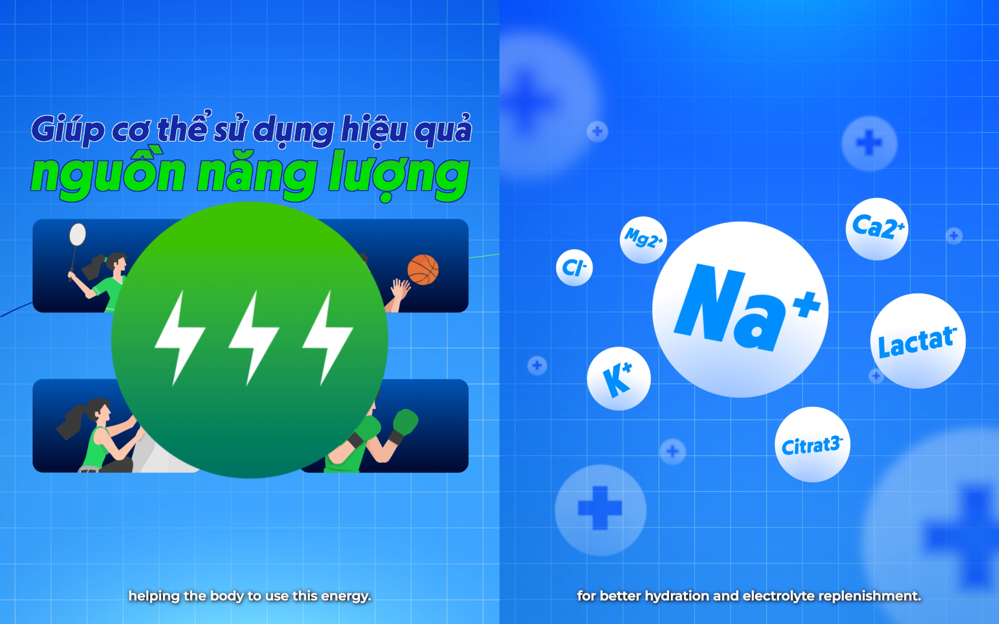 Revive Thể Thao: B&iacute; quyết n&acirc;ng cao sức bền, bứt ph&aacute; giới hạn của c&aacute;c tuyển thủ quốc gia                  &lrm;       - Ảnh 4.