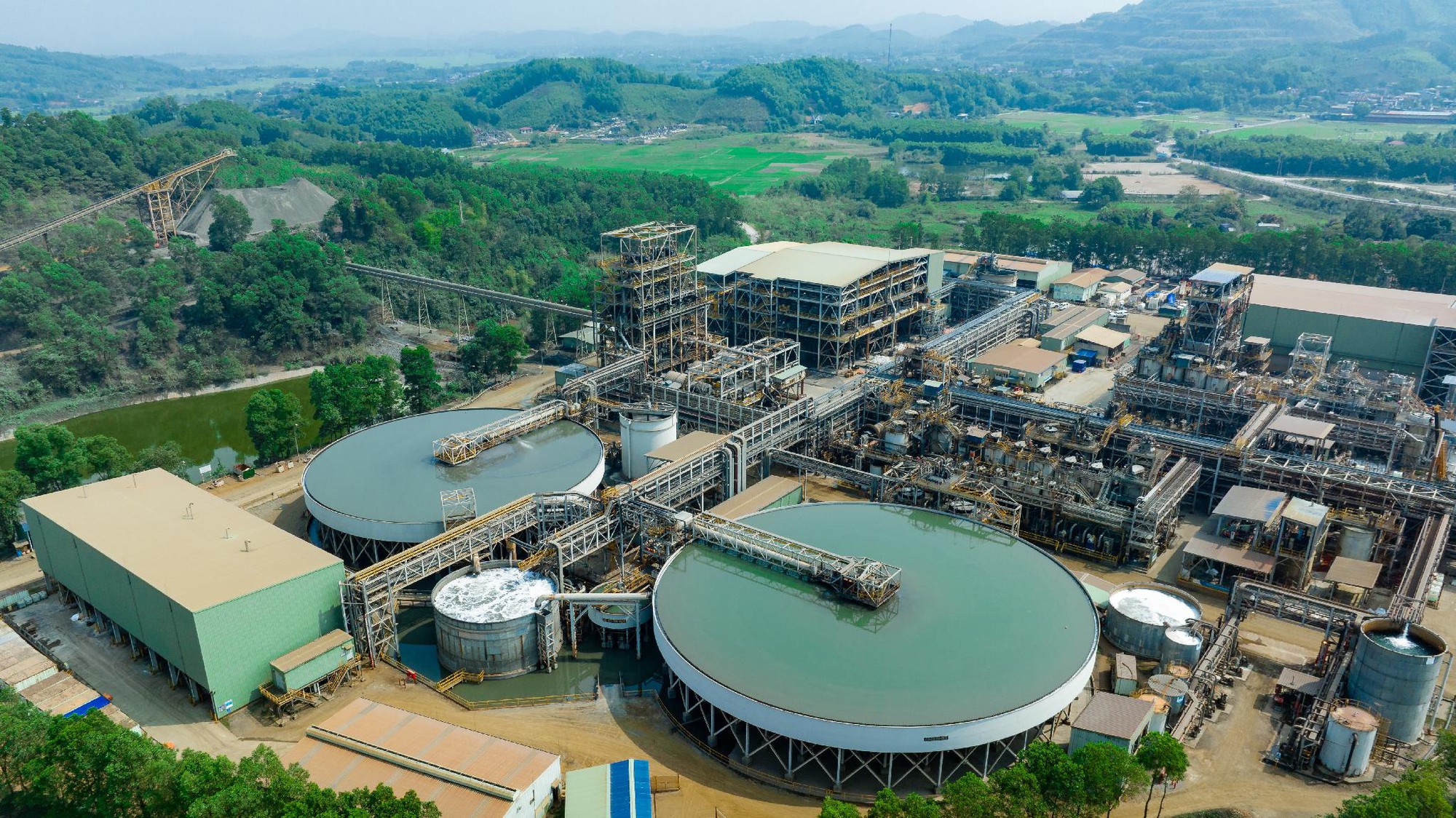 6.000 đồng/cổ phiếu năm 2026: MSR đặt nền móng cho chính sách cổ tức tiền mặt dài hạn - Ảnh 3.