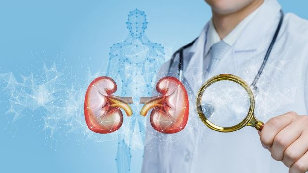 Vi nhựa c&oacute; thể x&acirc;m nhập v&agrave;o m&aacute;u v&agrave; c&aacute;c cơ quan: C&aacute;c b&agrave; nội trợ hạn chế l&agrave;m việc n&agrave;y để tr&aacute;nh cả nh&agrave; "ăn" hạt vi nhựa - Ảnh 1.