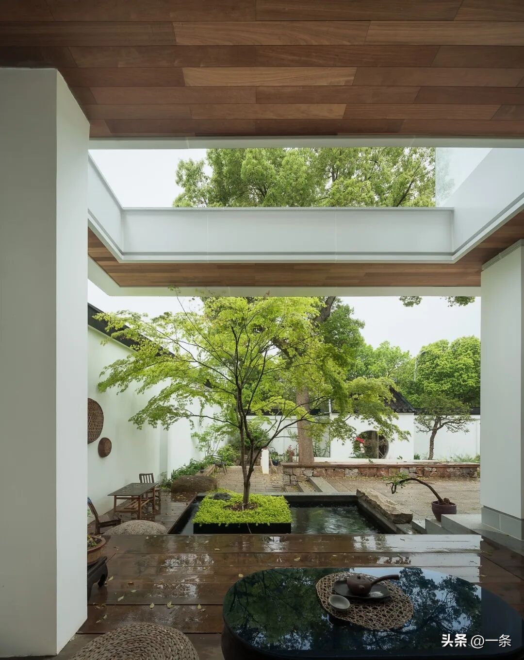 Mẹ 85 tuổi sống một m&igrave;nh trong nh&agrave; tổ suốt 7 năm, con trai quyết b&aacute;n nh&agrave; th&agrave;nh phố để trở về: C&aacute;i kết khiến căn nh&agrave; 1.000m&sup2; &ldquo;sống lại&rdquo; - Ảnh 4.