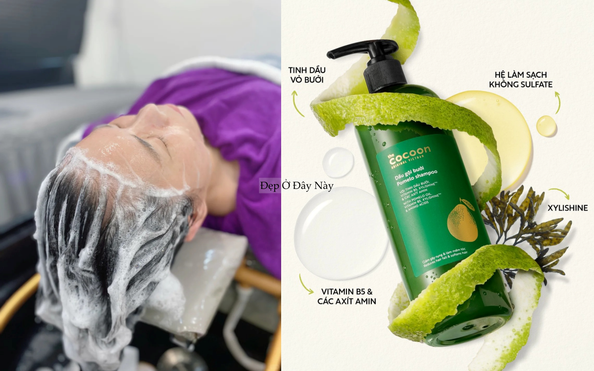 BTV kh&ocirc;ng chọn dầu gội bừa, đ&acirc;y l&agrave; 4 loại t&ocirc;i d&ugrave;ng suốt nhiều năm- Ảnh 2.