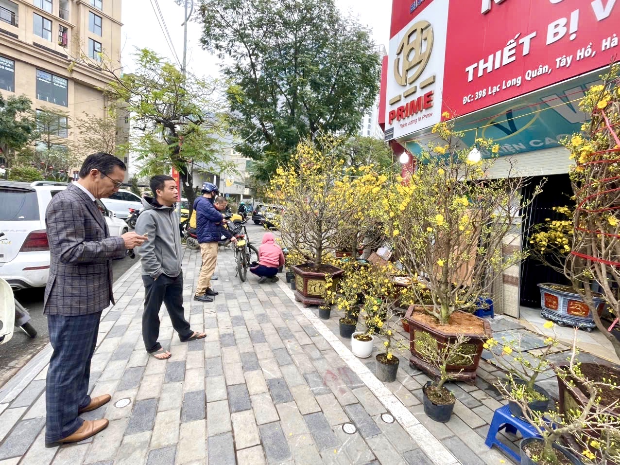 Rực rỡ sắc hoa xu&acirc;n đ&oacute;n Tết - Ảnh 3.