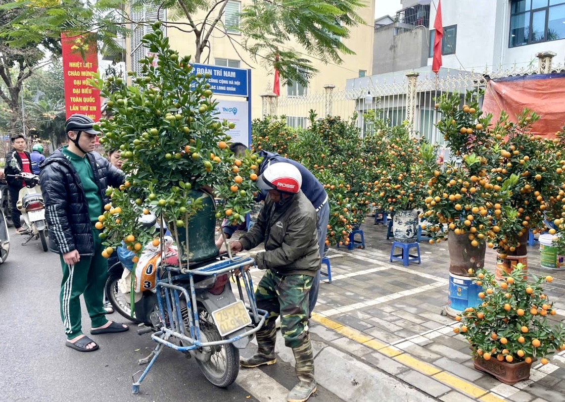 Rực rỡ sắc hoa xu&acirc;n đ&oacute;n Tết - Ảnh 7.