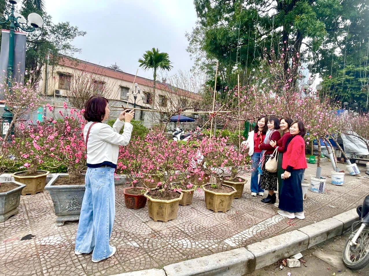 Rực rỡ sắc hoa xu&acirc;n đ&oacute;n Tết - Ảnh 5.