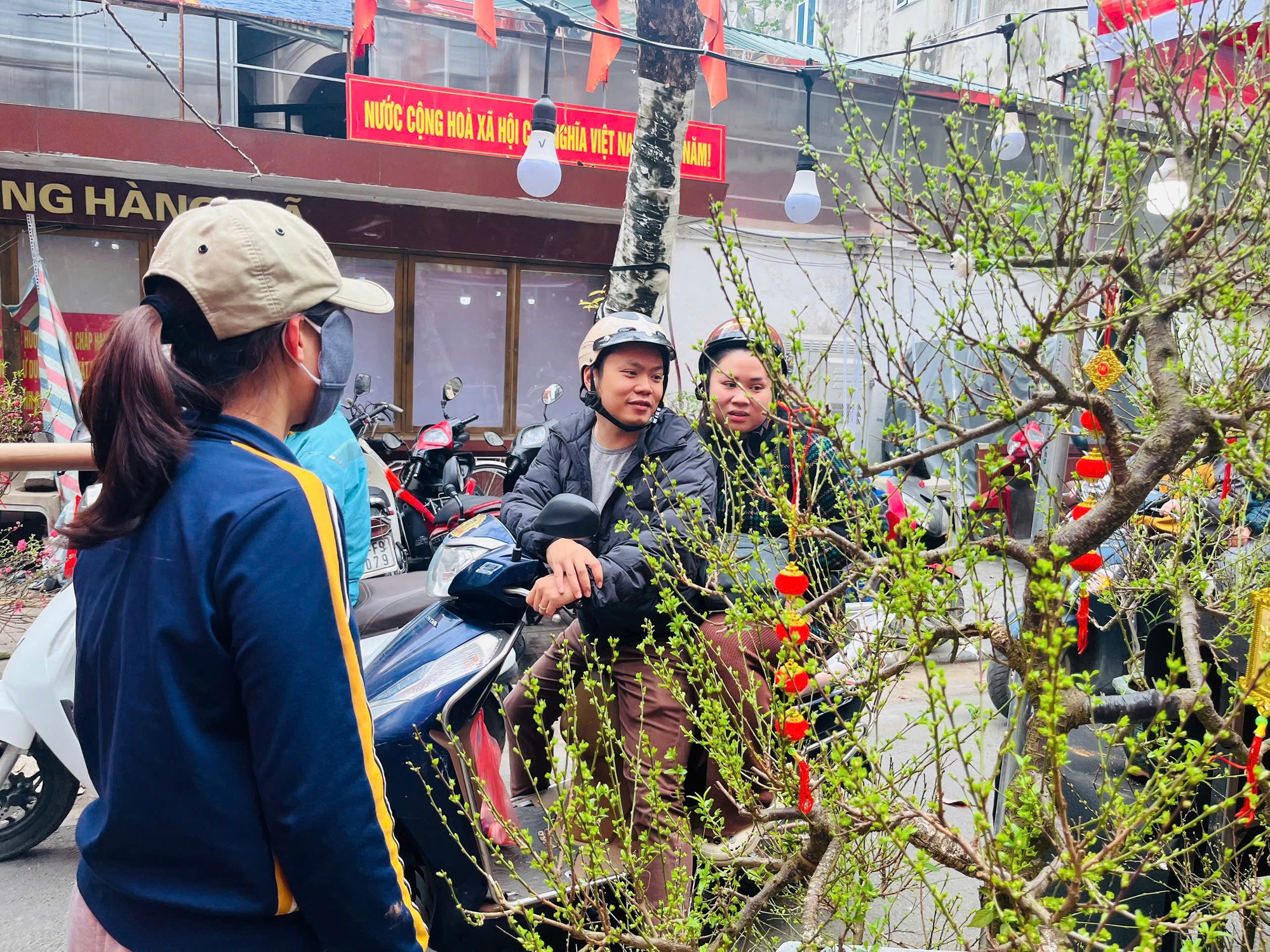 Rực rỡ sắc hoa xu&acirc;n đ&oacute;n Tết - Ảnh 8.