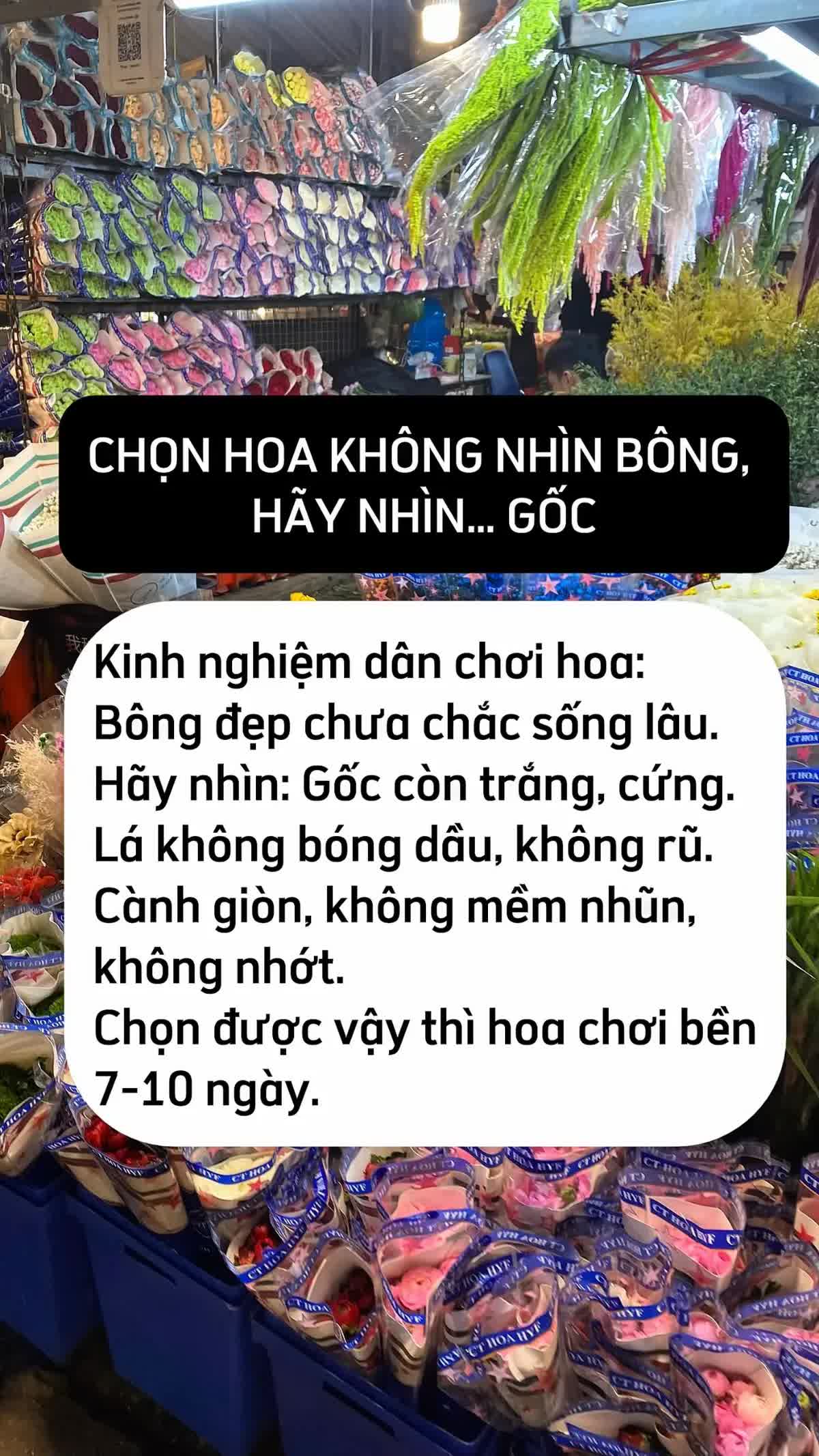 Mua hoa Tết ở Quảng B&aacute;, ch&ecirc;nh v&agrave;i trăm ngh&igrave;n l&agrave; chuyện thường: 5 mẹo kh&ocirc;ng bao giờ bị hớ từ người c&oacute; 10 năm kinh nghiệm - Ảnh 6.
