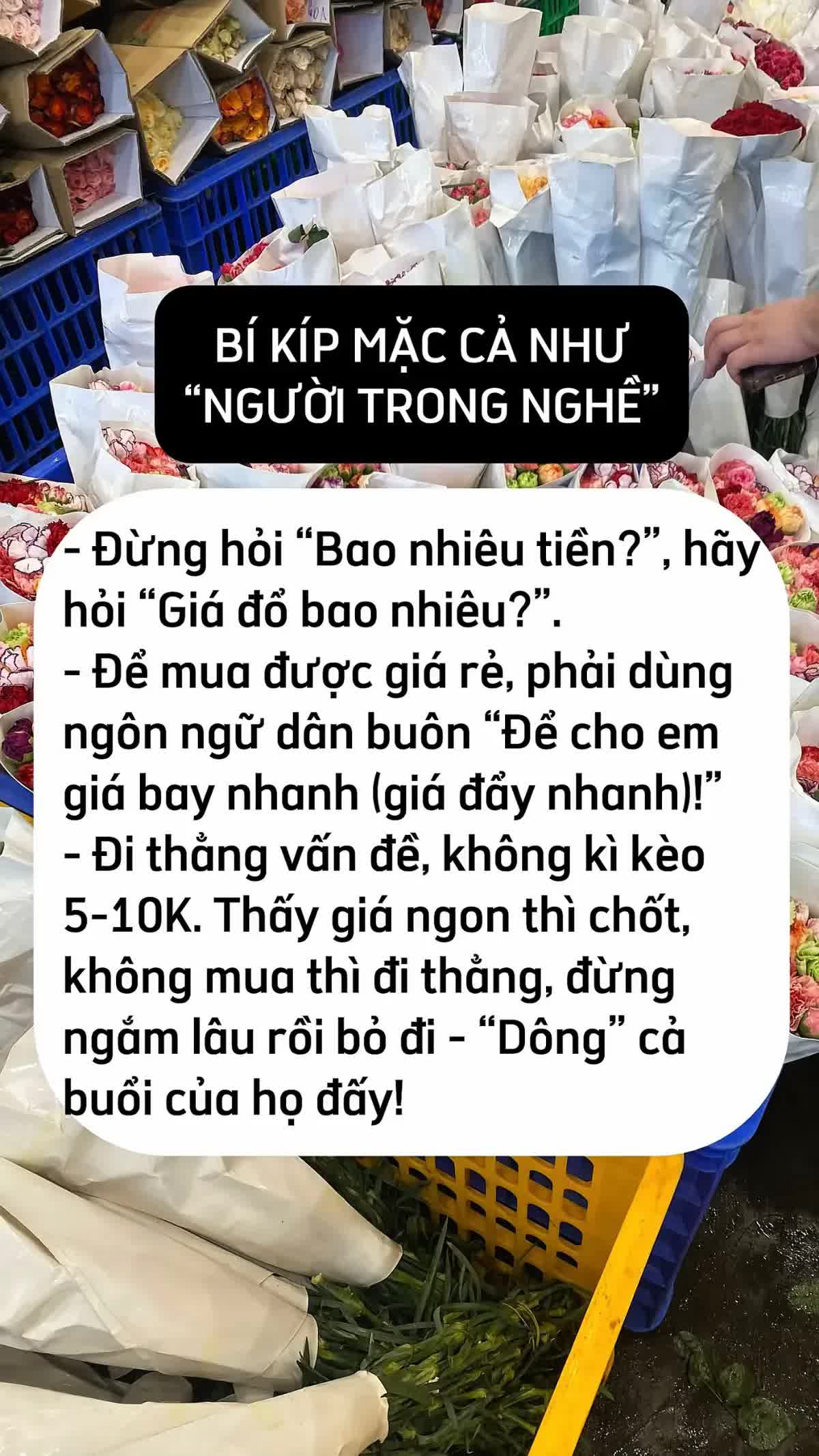 Mua hoa Tết ở Quảng B&aacute;, ch&ecirc;nh v&agrave;i trăm ngh&igrave;n l&agrave; chuyện thường: 5 mẹo kh&ocirc;ng bao giờ bị hớ từ người c&oacute; 10 năm kinh nghiệm - Ảnh 5.