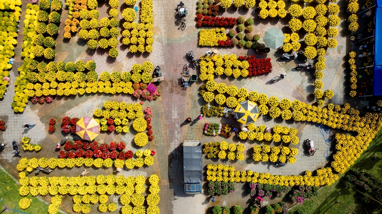 Nhộn nhịp chợ hoa Xu&acirc;n ở Cố đ&ocirc; Huế- Ảnh 5.