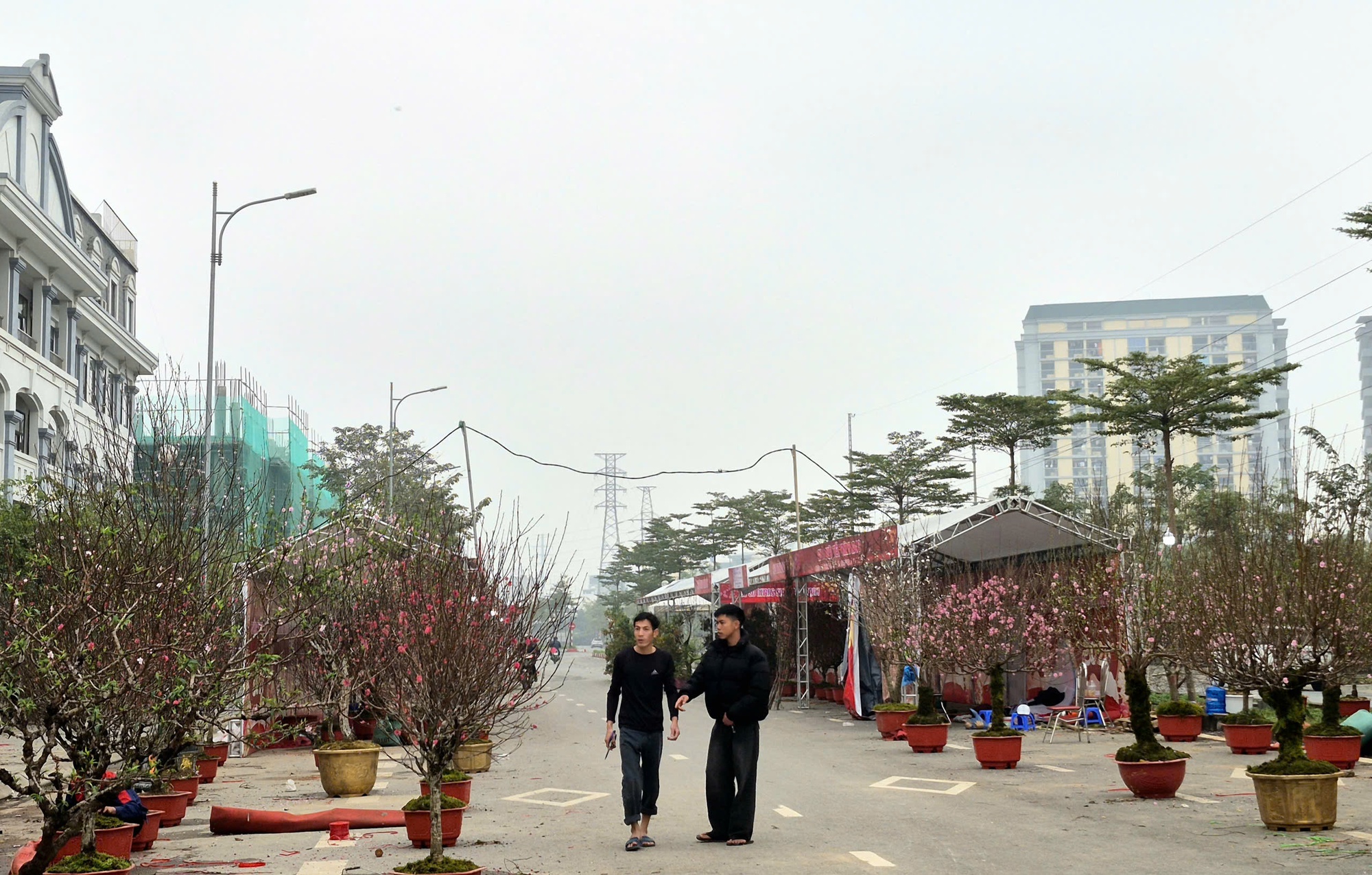 Sắc xu&acirc;n lan tỏa từ vườn hoa đến phố thị- Ảnh 2.