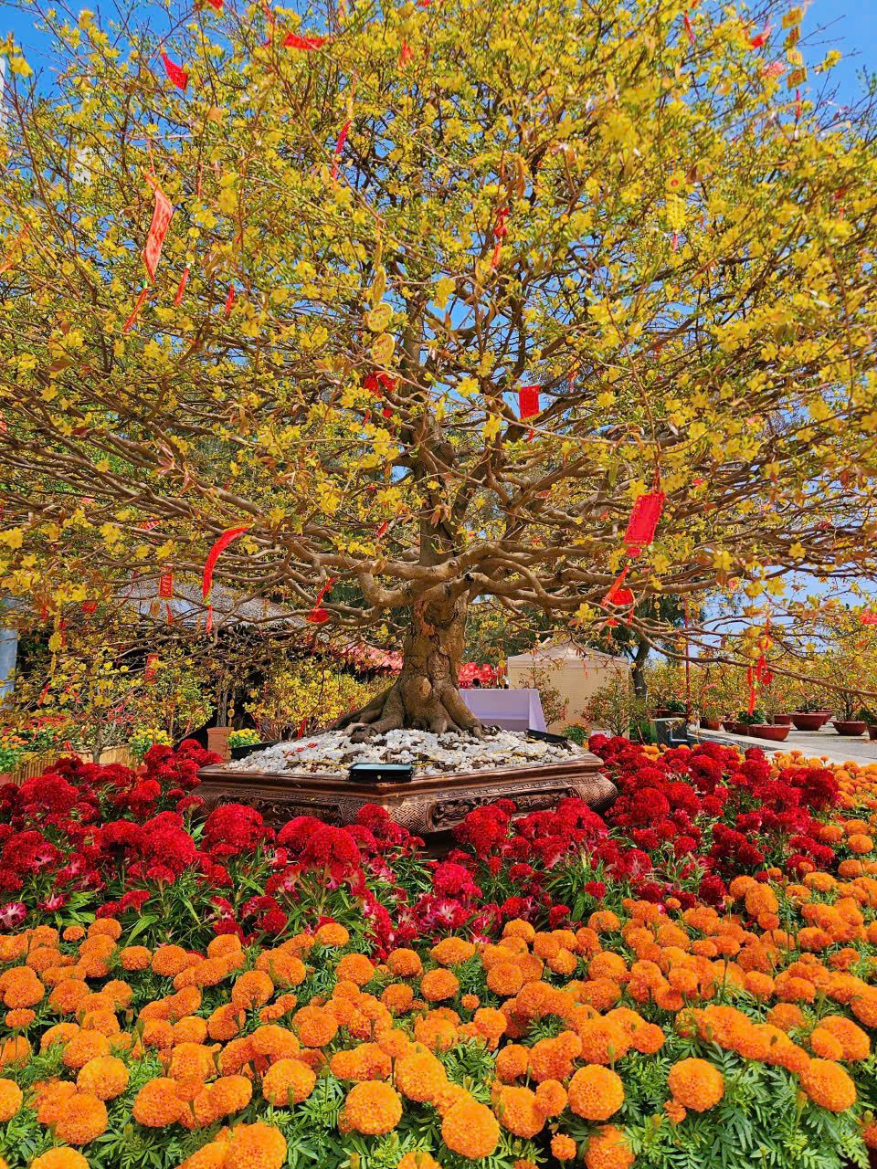 Một ng&agrave;y du xu&acirc;n Cần Giờ, trọn niềm vui cho cả gia đ&igrave;nh, vẹn k&yacute; ức cho nhiều m&ugrave;a Tết - Ảnh 4.