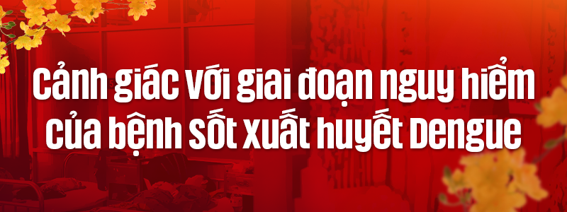 Những “màu đỏ không Tết” do Sốt xuất huyết Dengue và cuộc chiến giành lại mùa xuân - Ảnh 9.
