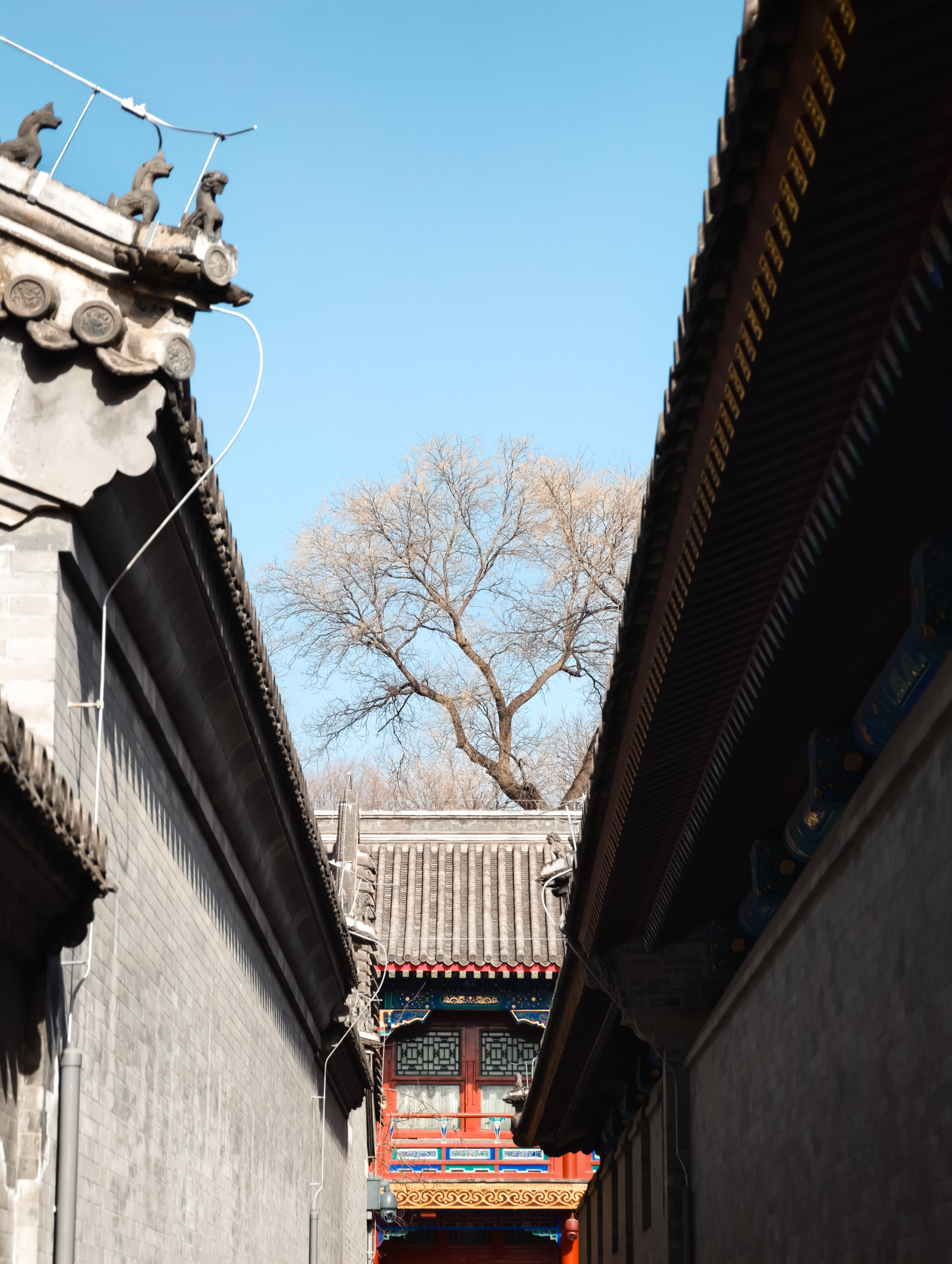 Gi&aacute;m đốc mảng Camera của Xiaomi: Mối quan hệ hợp t&aacute;c của ch&uacute;ng t&ocirc;i với Leica bắt nguồn từ một triết l&yacute; chung - mang linh hồn trở lại với nhiếp ảnh di động- Ảnh 30.