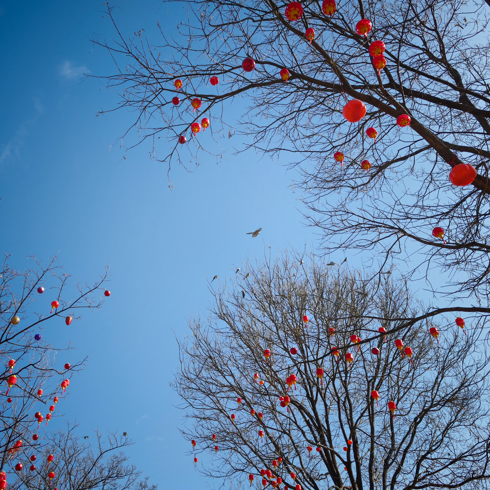 Gi&aacute;m đốc mảng Camera của Xiaomi: Mối quan hệ hợp t&aacute;c của ch&uacute;ng t&ocirc;i với Leica bắt nguồn từ một triết l&yacute; chung - mang linh hồn trở lại với nhiếp ảnh di động- Ảnh 24.