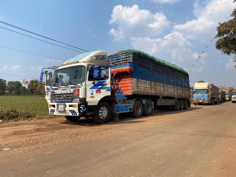 Thủ tướng chỉ đạo th&aacute;o gỡ vướng mắc trong triển khai Nghị định 46/2026/NĐ-CP về an to&agrave;n thực phẩm- Ảnh 1.