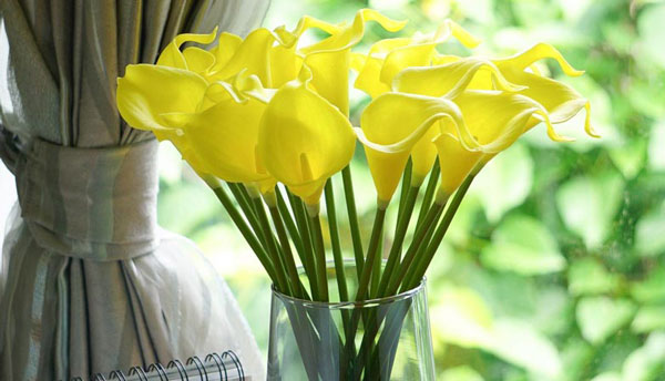 3 loại hoa trưng trong nhà năm Bính Ngọ, kích vận "mã đáo thành công - Ảnh 1.