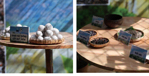 Từ kỷ lục Guinness đến 1 triệu c&acirc;y xanh: Unilever v&agrave; chiến lược hồi sinh rừng Việt Nam - Ảnh 3.