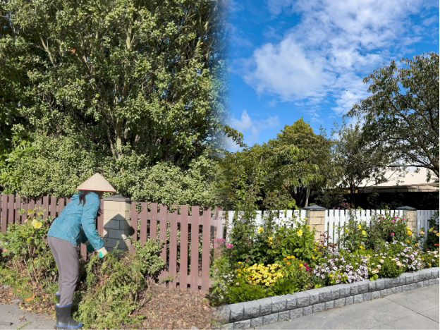 Từ City Girl phố thị đến người l&agrave;m vườn y&ecirc;u hoa ở xứ Kiwi- Ảnh 3.