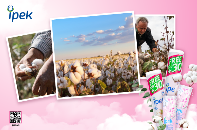 H&agrave;nh tr&igrave;nh 55 năm cho bước l&agrave;m sạch ti&ecirc;u chuẩn ch&acirc;u &Acirc;u của thương hiệu b&ocirc;ng tẩy trang Ipek - Ảnh 1.