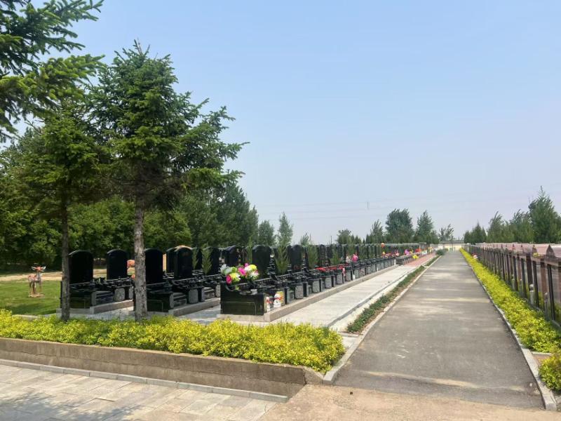 Ly h&ocirc;n rồi, nhiều phụ nữ trung ni&ecirc;n bắt đầu nghĩ đến một c&acirc;u hỏi: Sau n&agrave;y m&igrave;nh sẽ nằm ở đ&acirc;u?- Ảnh 2.