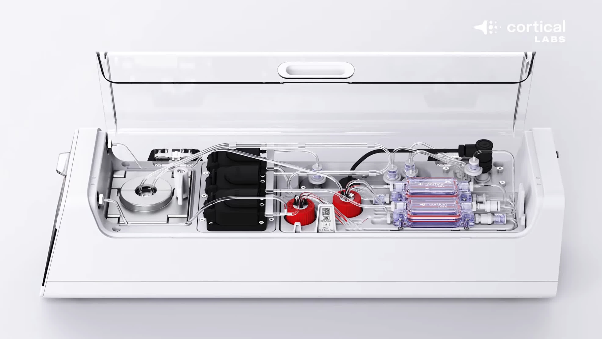 Bạn có nhớ cụm neuron thần kinh chơi được Doom hôm trước không? Nó sắp được ghép thành trung tâm dữ liệu sinh học rồi đây này - Ảnh 4.