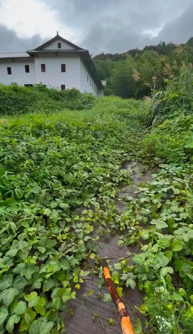 B&aacute;n căn hộ để về qu&ecirc; x&acirc;y biệt thự: Hai năm sau t&ocirc;i mắc kẹt với căn nh&agrave; kh&ocirc;ng b&aacute;n được- Ảnh 4.