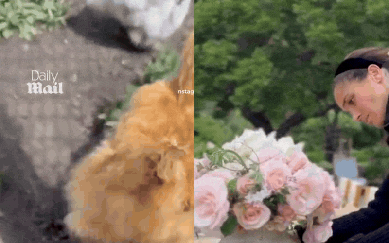 Cuộc sống "bỏ phố về qu&ecirc;" của Meghan Markle: Chồng gọi l&agrave; "em y&ecirc;u", khen ngợi t&agrave;i cắm hoa kh&ocirc;ng dứt, hiếm hoi khoe g&oacute;c nghi&ecirc;ng của c&ocirc;ng ch&uacute;a nhỏ Lilibet- Ảnh 1.