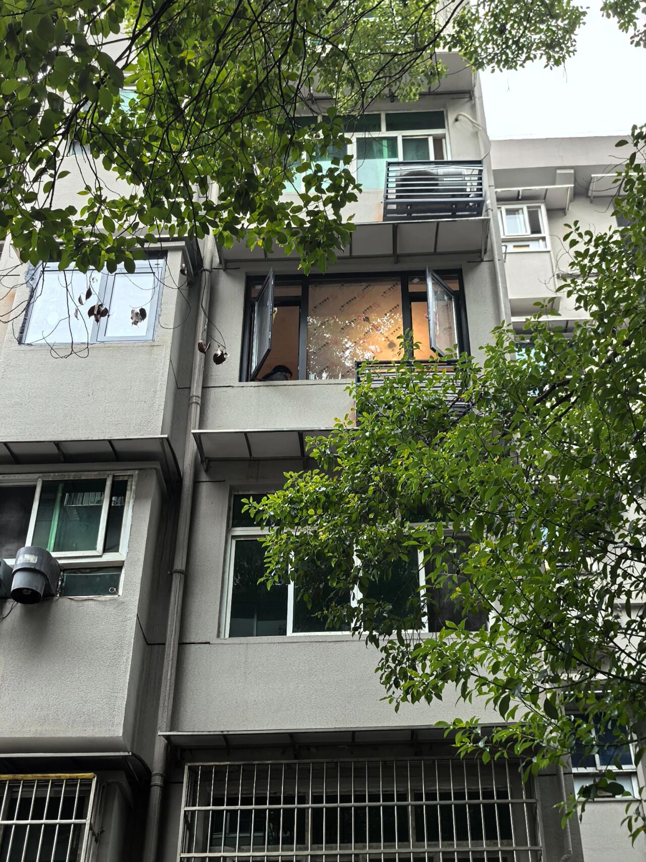 Tôi rời căn hộ có thang máy để về sống ở khu phố cũ: Sau 1 năm, tôi chỉ tiếc đã chuyển đi quá muộn - Ảnh 1.