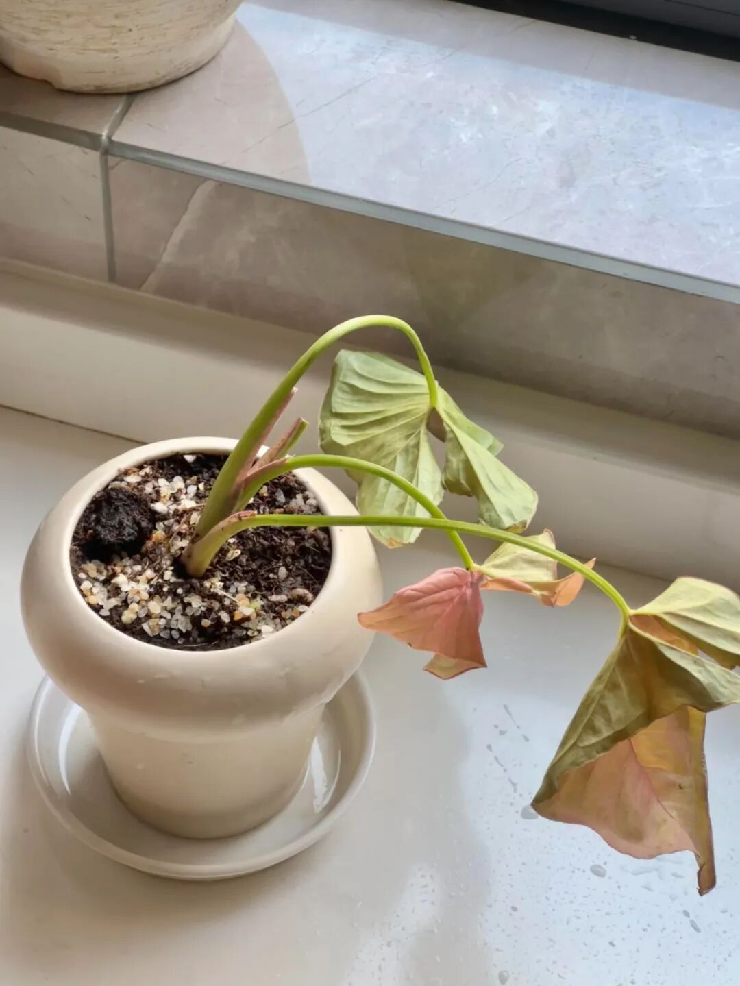 Chuyển về nh&agrave; mới 2 th&aacute;ng, t&ocirc;i mới hiểu: C&oacute; một kiểu mệt mỏi gọi l&agrave; &ldquo;nấu ăn t&ugrave;y tiện trong bếp&rdquo; v&agrave; 6 thiết kế đẹp nhưng bất tiện n&agrave;y l&agrave; nguy&ecirc;n nh&acirc;n - Ảnh 9.