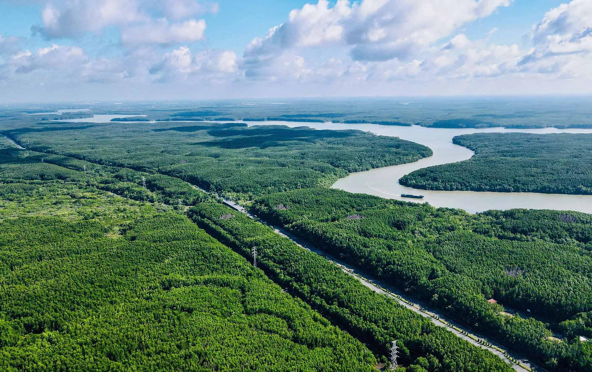 Compound viết tiếp c&acirc;u chuyện &ldquo;sống xanh&rdquo; giữa t&acirc;m điểm Vịnh Ti&ecirc;n của si&ecirc;u đ&ocirc; thị biển - Ảnh 2.