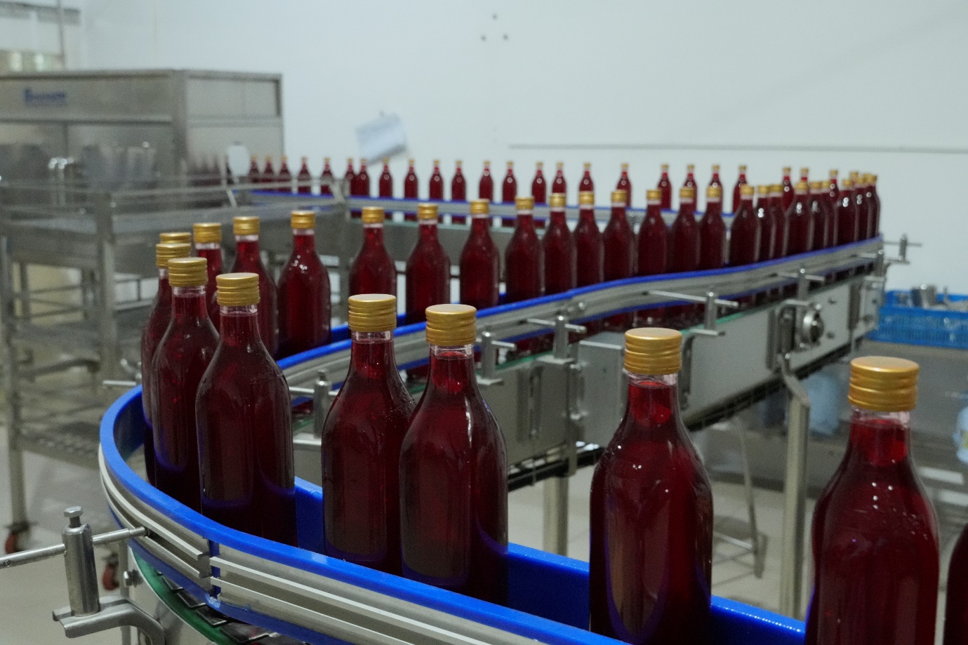 Golden Farm: Giải ph&aacute;p chuẩn h&oacute;a nguy&ecirc;n liệu gi&uacute;p doanh nghiệp F&B tối ưu vận h&agrave;nh - Ảnh 2.