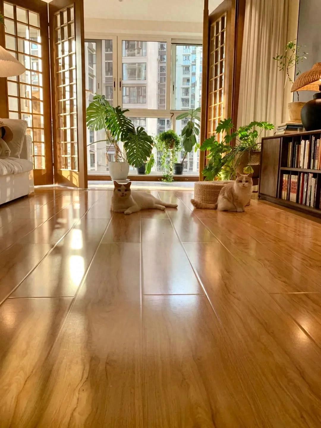 Không mua sắm, không tụ tập: Nữ giáo viên khiến mạng xã hội ngưỡng mộ chỉ nhờ một việc mỗi ngày- Ảnh 2.