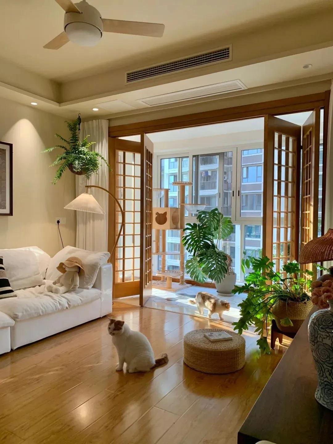 Không mua sắm, không tụ tập: Nữ giáo viên khiến mạng xã hội ngưỡng mộ chỉ nhờ một việc mỗi ngày- Ảnh 3.