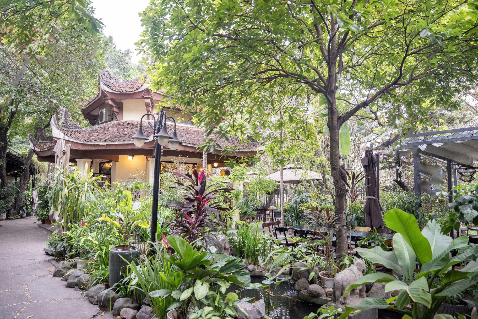 Khi tiệc s&acirc;n vườn trở th&agrave;nh xu hướng tại H&agrave; Nội- Ảnh 3.