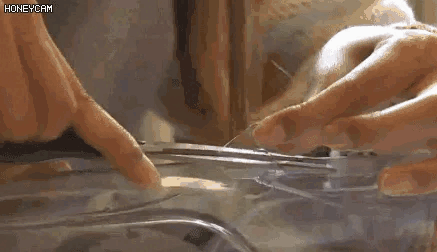 Đặt 1 chai nhựa rỗng v&agrave;o m&aacute;y h&uacute;t m&ugrave;i, t&ocirc;i lạy người n&agrave;o nghĩ ra mẹo đỉnh n&oacute;c n&agrave;y- Ảnh 2.