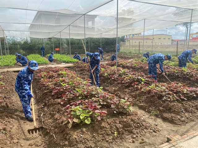 Tuổi trẻ Hải đo&agrave;n 11 ph&aacute;t động &ldquo;Th&aacute;ng Thanh ni&ecirc;n&rdquo; năm 2026 với nhiều hoạt động thiết thực, &yacute; nghĩa - Ảnh 1.