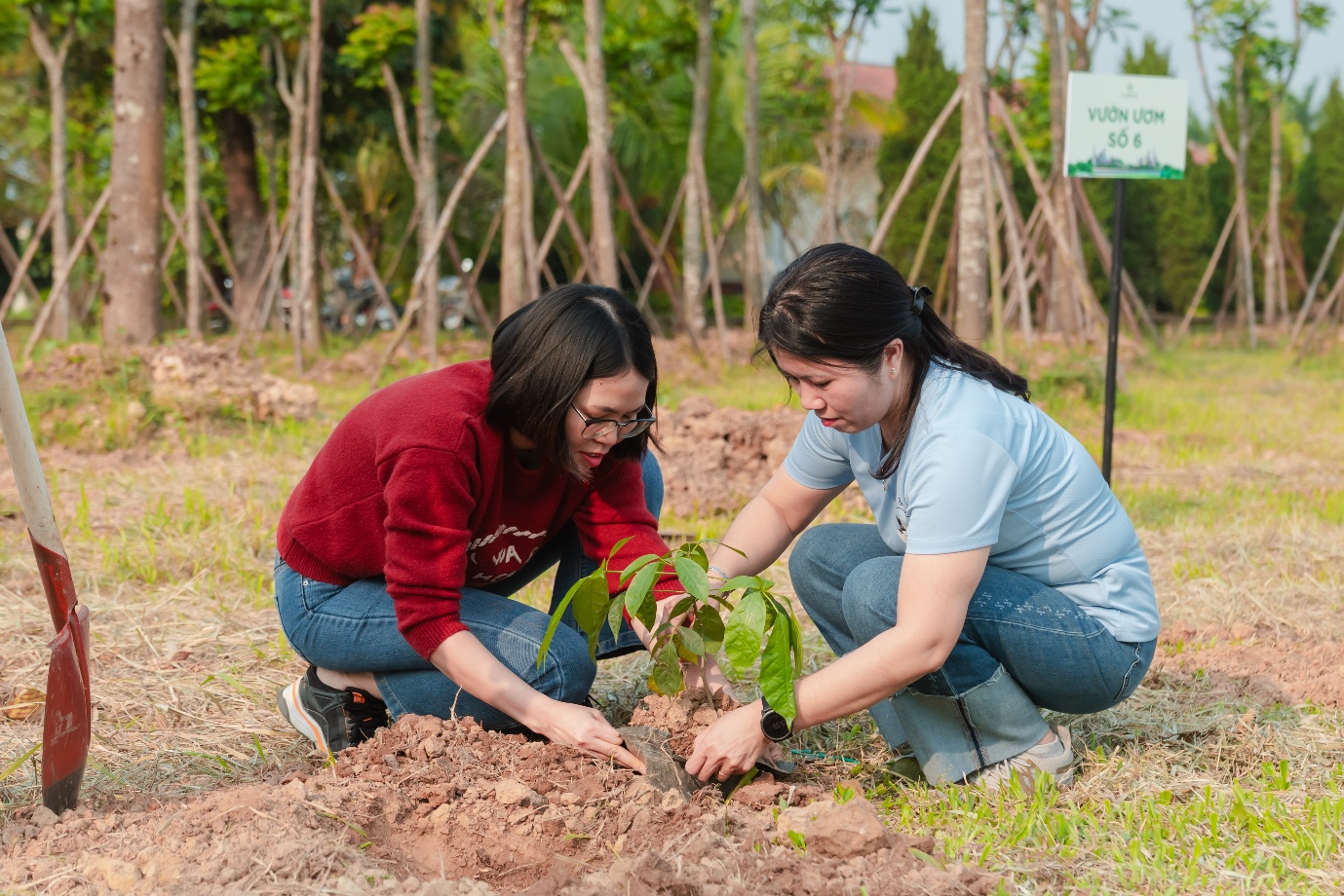 SJ Group kiến tạo "di sản xanh", đầu tư cho cảnh quan tại Vista Nam An Kh&aacute;nh- Ảnh 2.